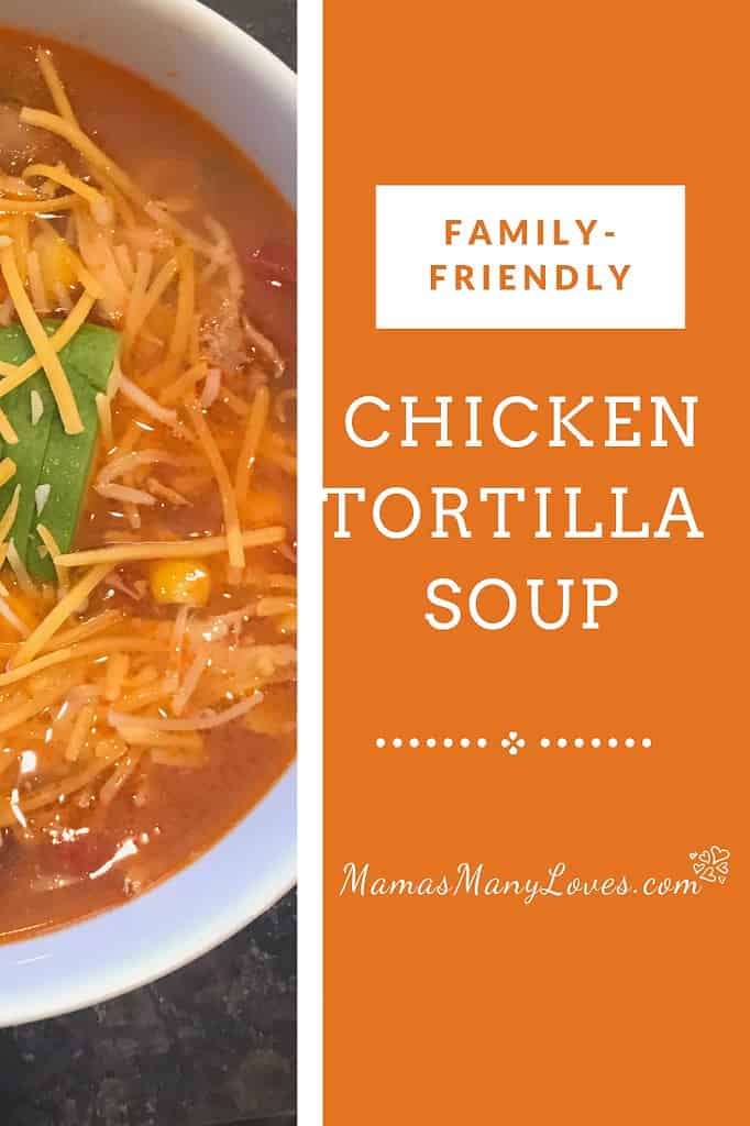 Family-Friendly Chicken Tortilla Soup Recipe