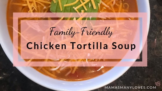 Family-Friendly Chicken Tortilla Soup