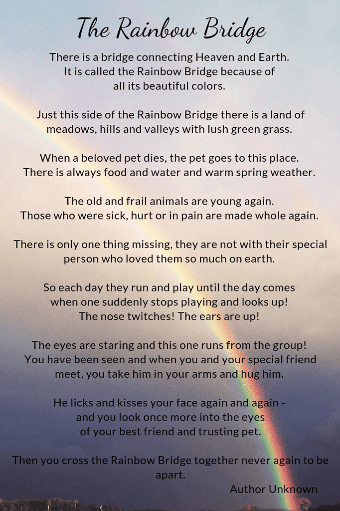 Free Rainbow Bridge Poem Printable Pet Sympathy cardRainbow Bridge