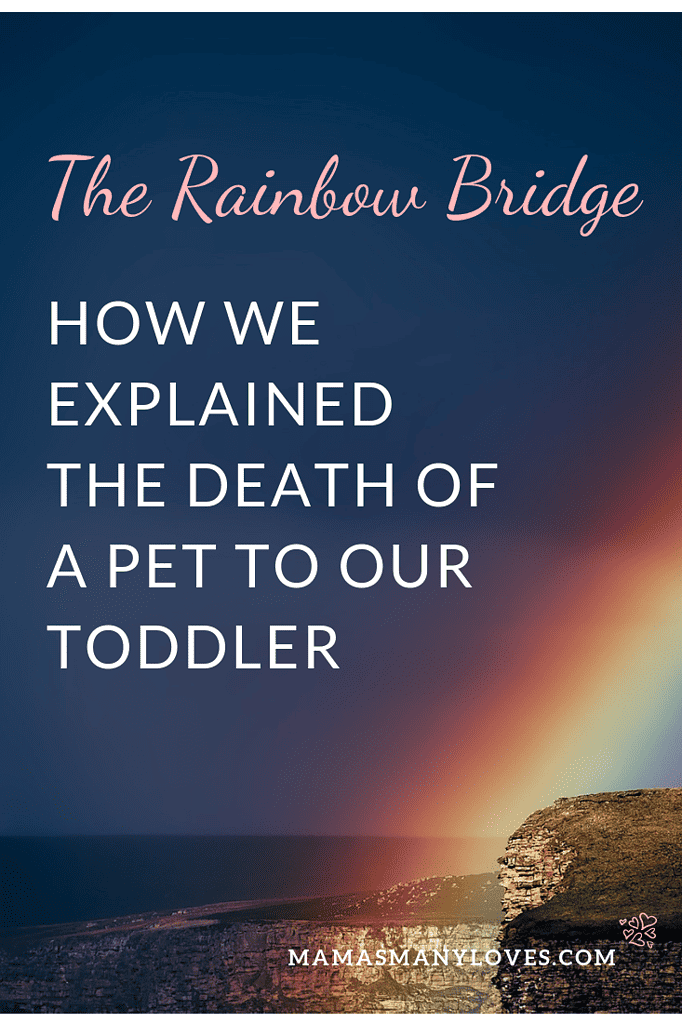 The Rainbow Bridge.  How We Explained the Death of A Pet to Our Toddler.