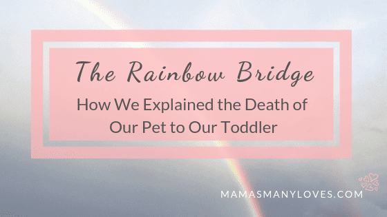How We Explained The Death Of Our Pet To Our Toddler Mama S Many Loves