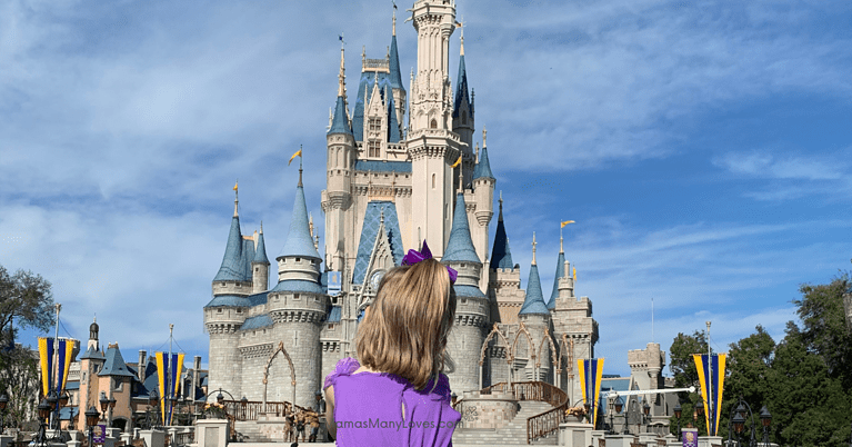 Toddler girl on Dad's shoulders in front of Cinderella's castle, Walt Disney World.