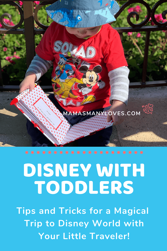 Tips and Tricks for Disney World with Toddlers