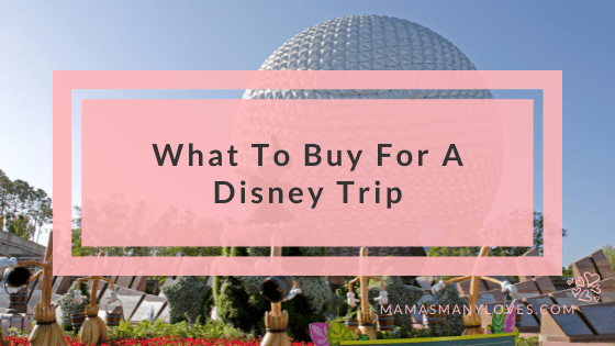What to Buy for a Disney Trip text over photo of Epcot