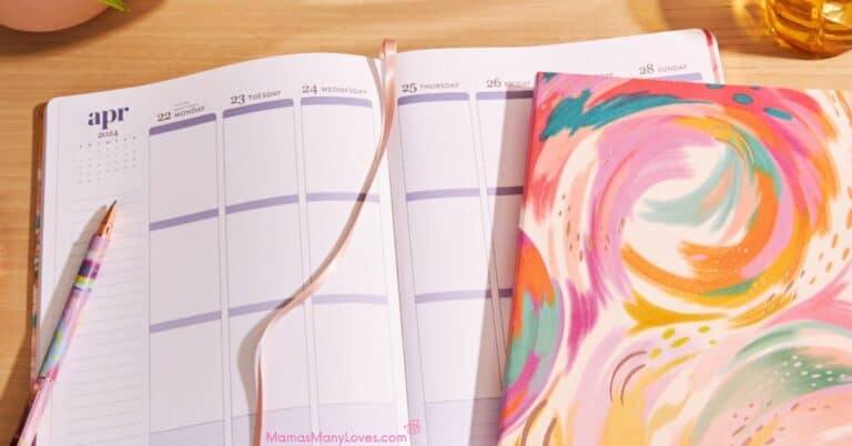 Erin Condren Softbound LifePlanner vs Coiled LifePlanner