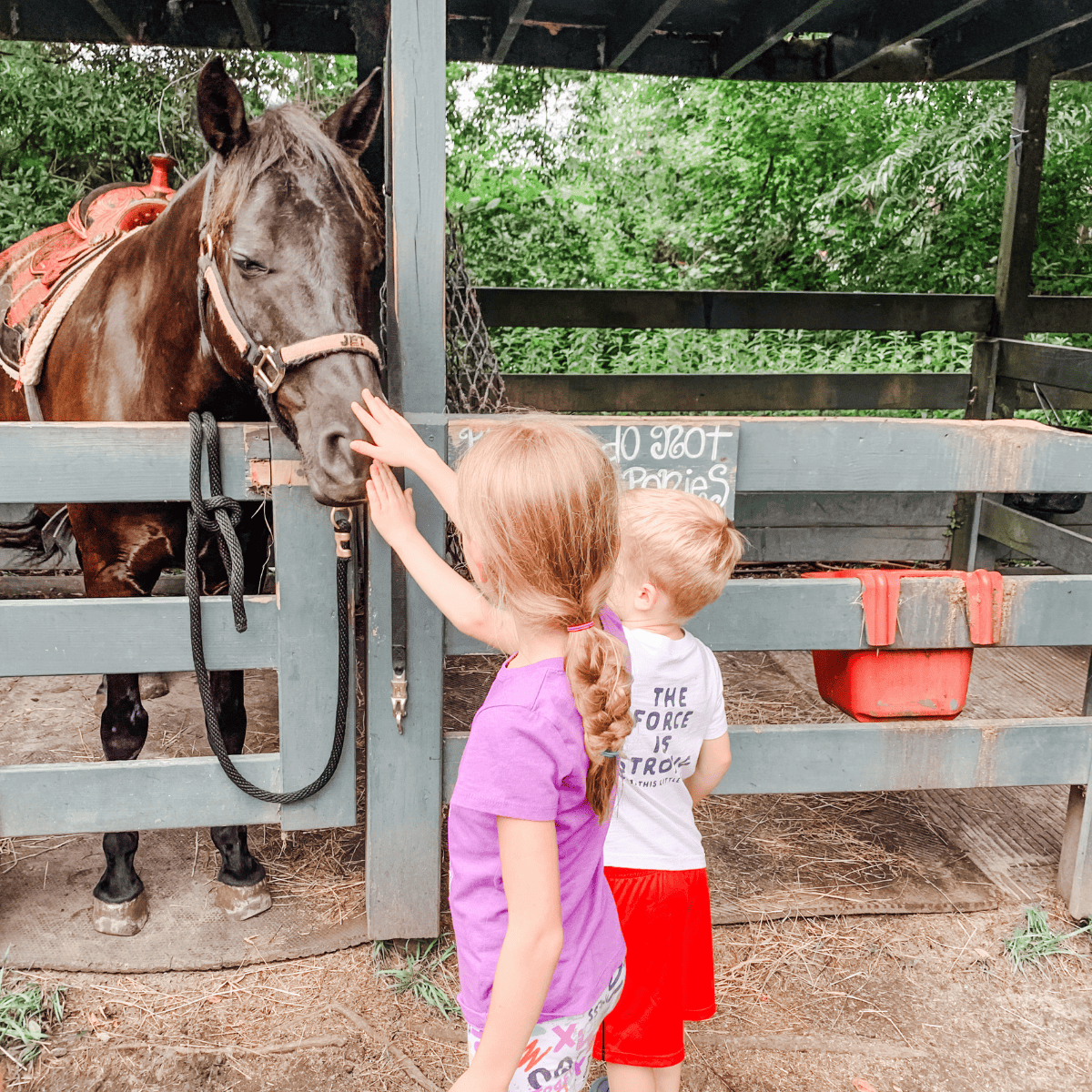 Two kids petting a large pony at Lawton Stables, Hilton Head Island, South Carolina.
