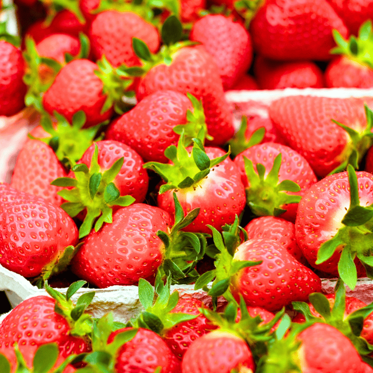 Photo of ripe strawberries in pick your own containers.