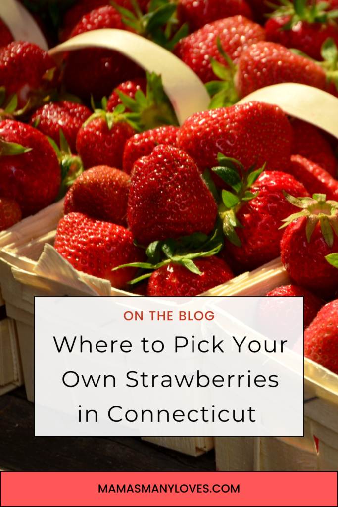 Photos of strawberries in baskets with text overlay, "On the Blog Where to Pick Your Own Strawberries in Connecticut"