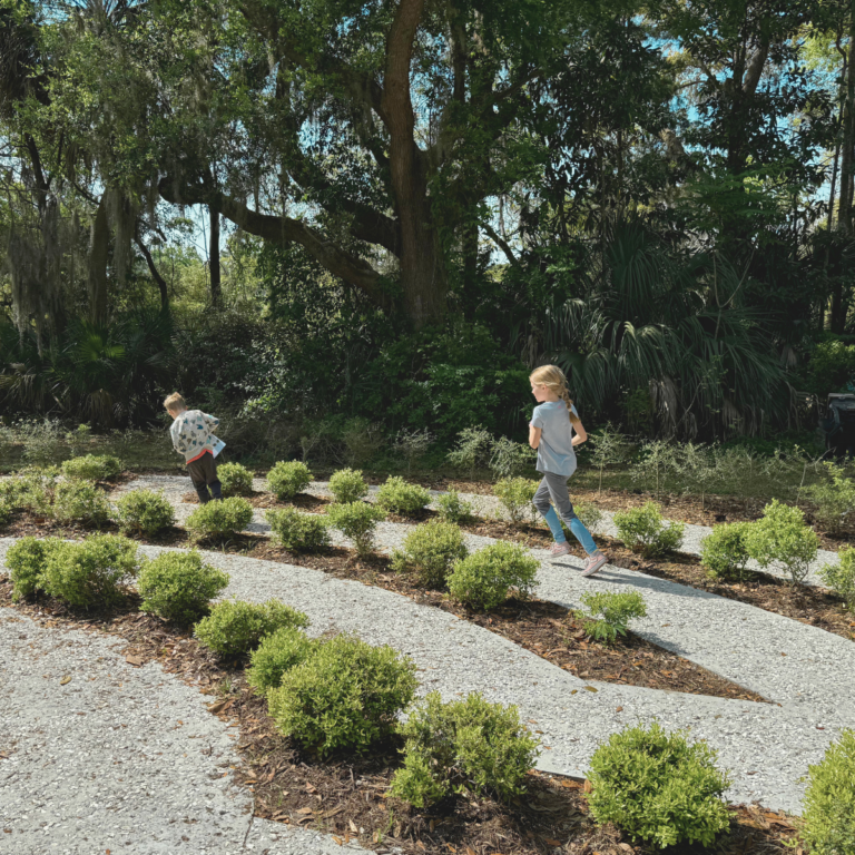 Kids playing in the outside maze at Coastal Discover Museum, Hilton Head Island.