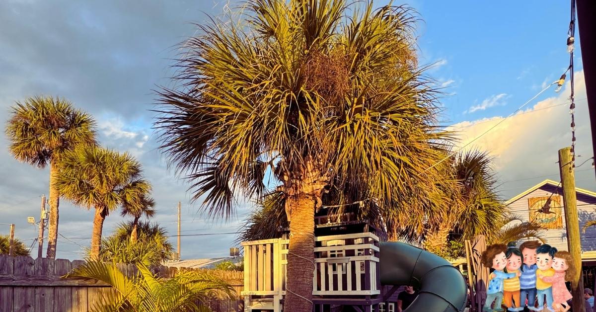 A photograph of the outside space at Salty Sister Bar and Grill in Cocoa Beach Florida with palm trees and a kids' playscape.